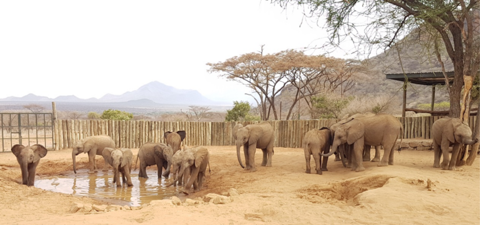 Reteti Elephant Sanctuary