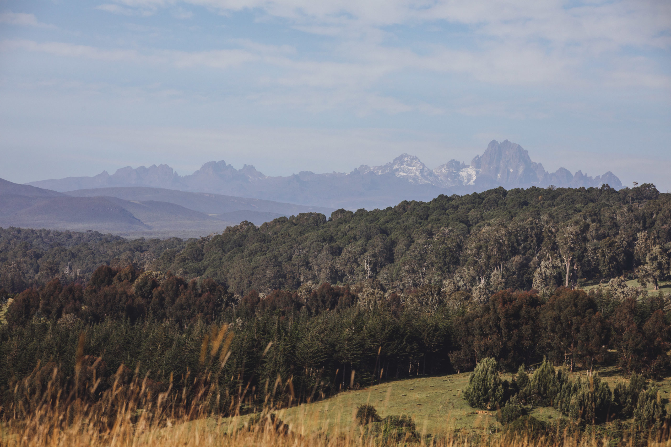 Mount Kenya Trust