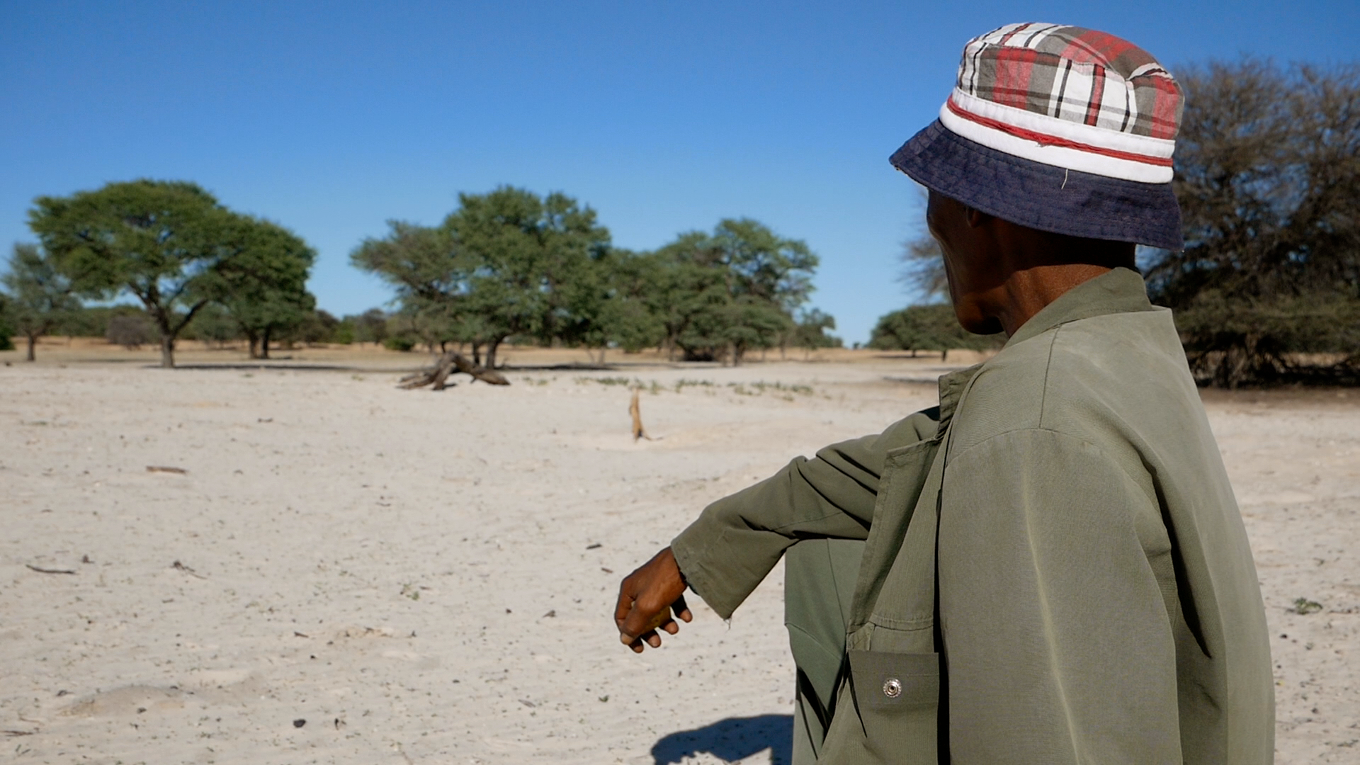 Kgalagadi Meerkat Project