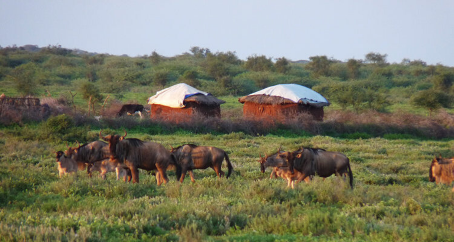 Dorobo Fund