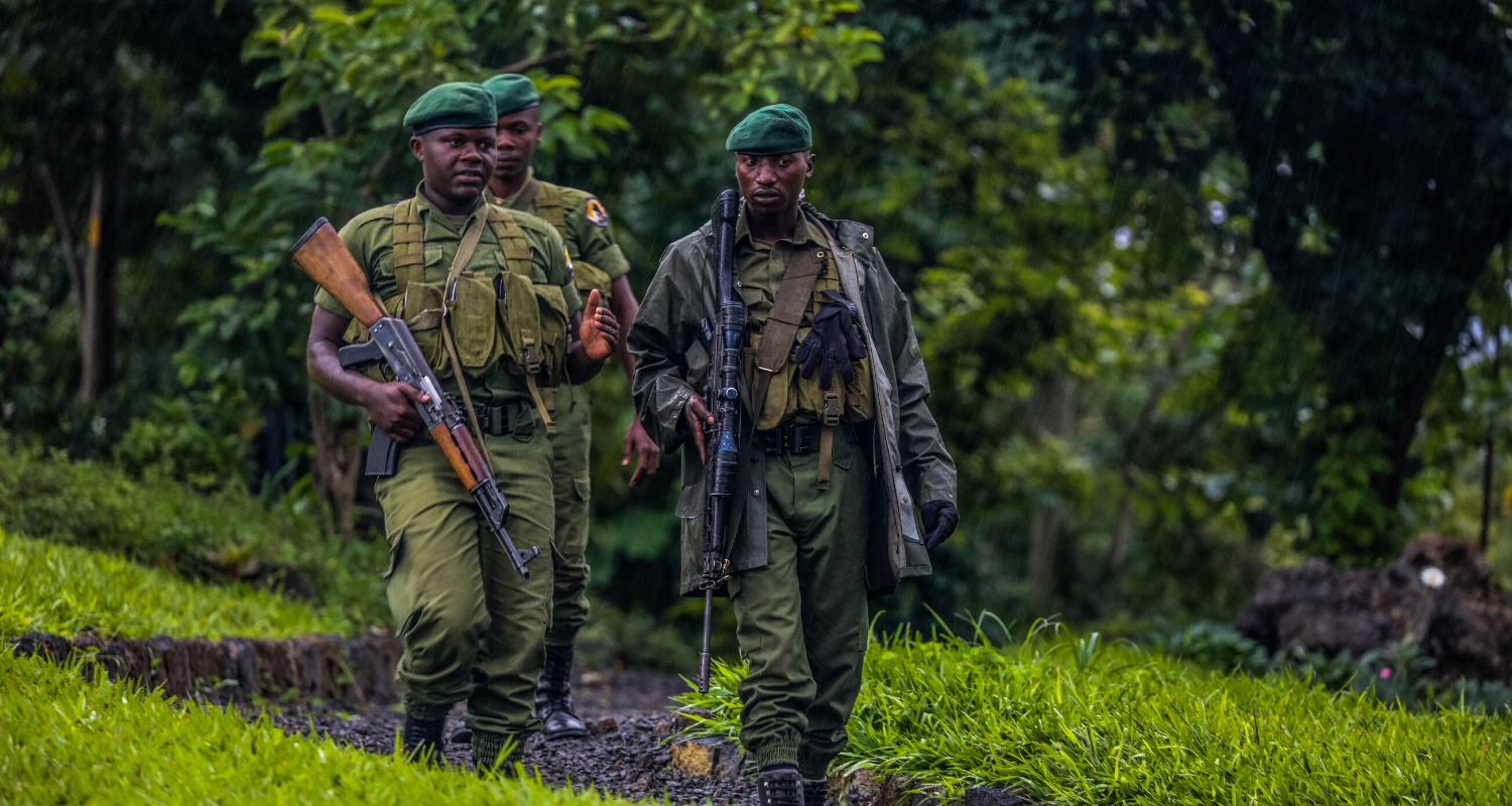 Virunga Alliance
