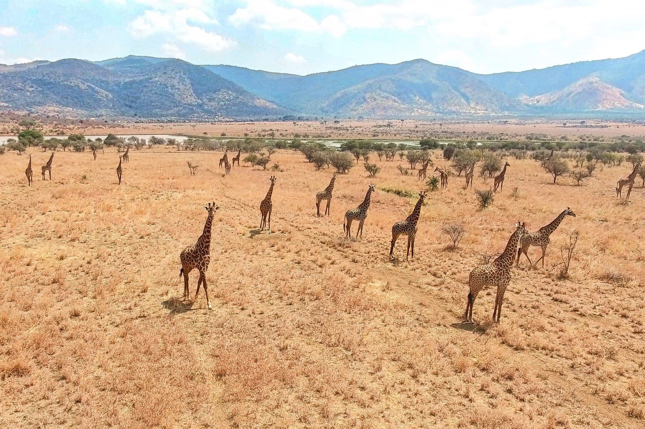 Mkomazi
