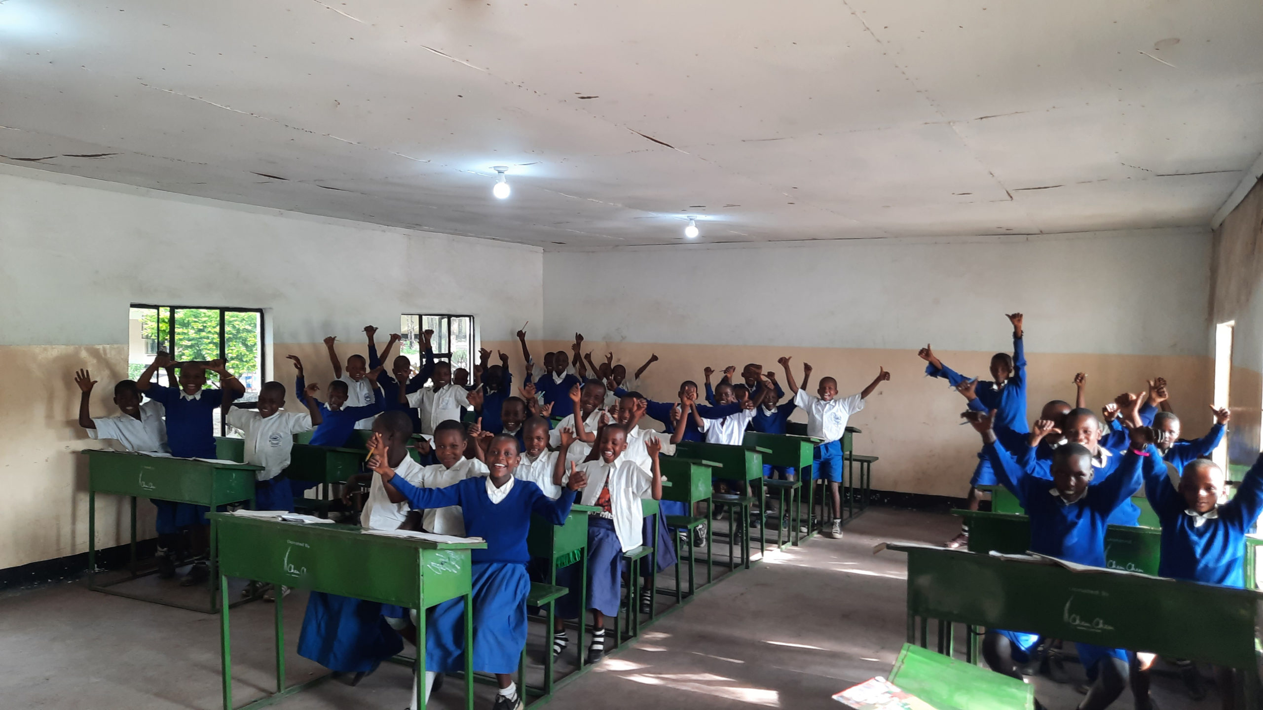 Vilima Viatu School Lights