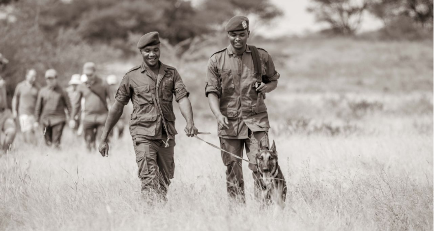 Kuru Conservation Dogs